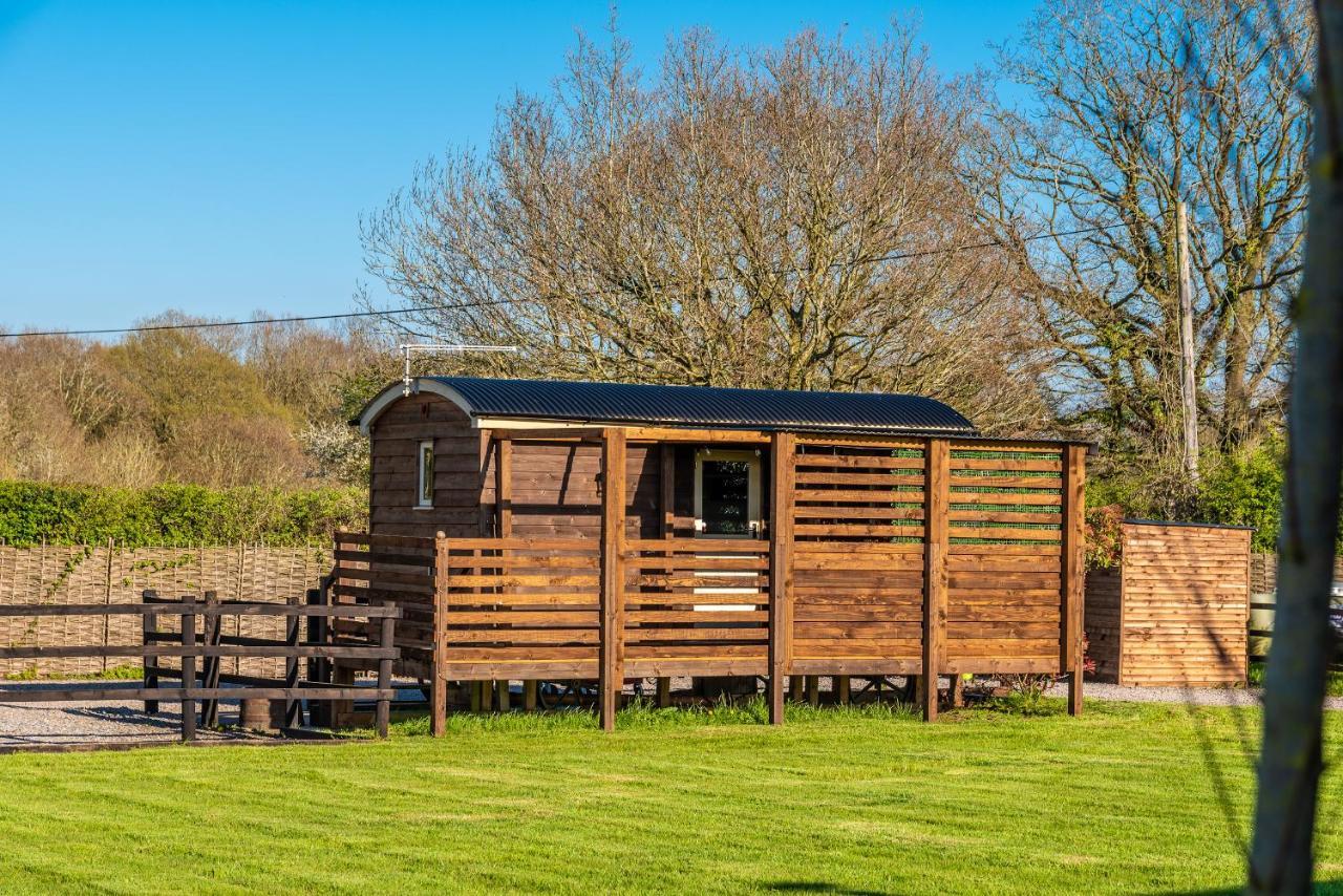 Hillside View Shepherds Hut - Ockeridge Rural Retreats Little Witley المظهر الخارجي الصورة
